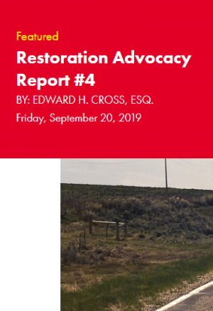 Restoration Industry Advocacy Report 4