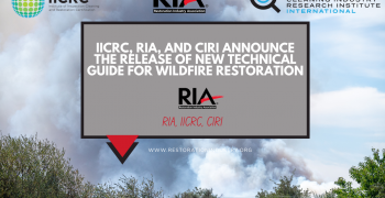 IICRC, RIA, and CIRI Announce the Release of New Technical Guide for Wildfire Restoration