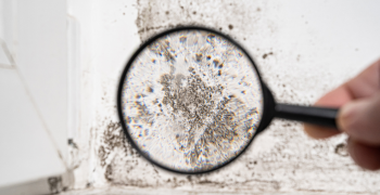 view through a magnifying glass. white wall with black mold