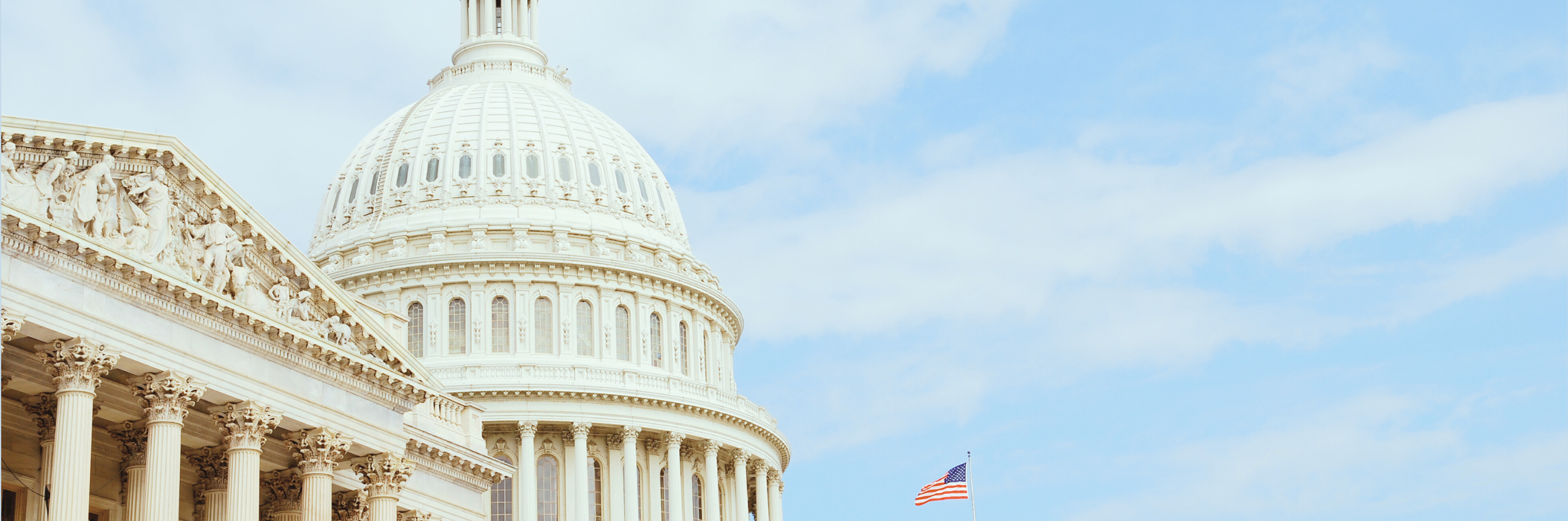 Director of Government Affairs Role